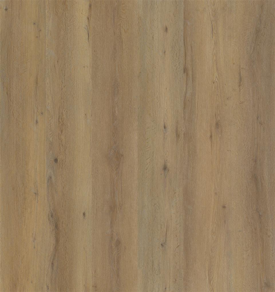 Vivero dryback light oak